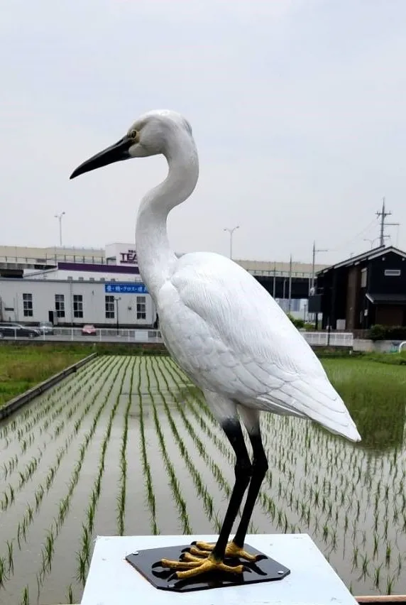 白鷺、ＦＲＰ造形、塗装